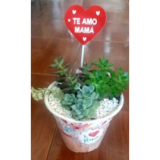 Succulent Planter